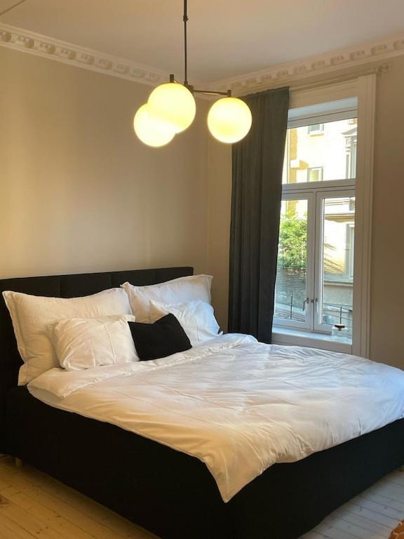 Lovely Central Apartment With Two Large Bedrooms Nearby Oslo Opera, Vis A Vis Botanical Garden Exterior photo