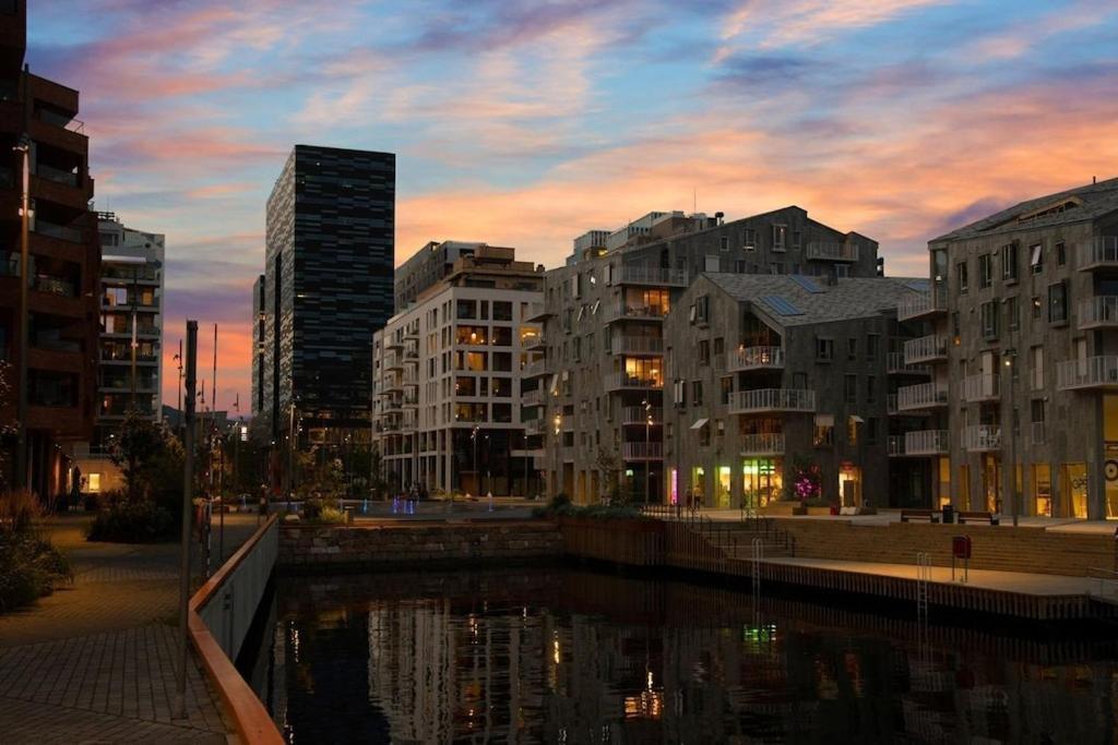 Lovely Central Apartment With Two Large Bedrooms Nearby Oslo Opera, Vis A Vis Botanical Garden Exterior photo